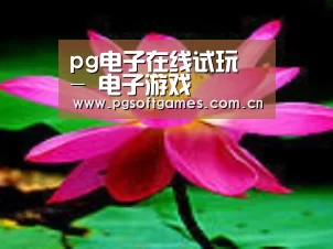 产品名称五