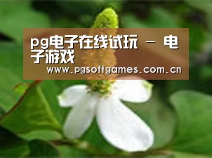 产品名称三