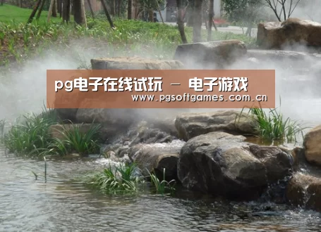 案例展示五