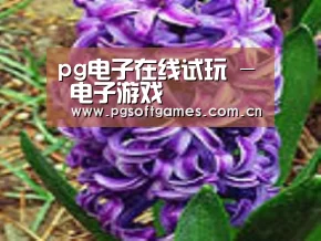 产品名称八