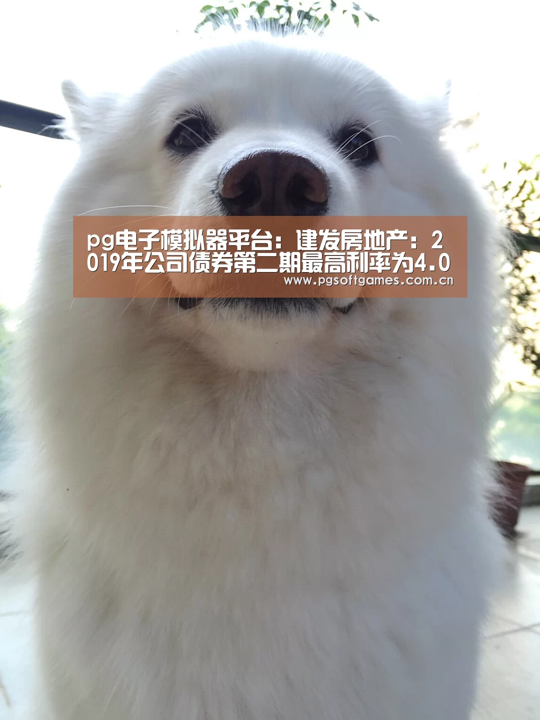 pg电子模拟器手机版