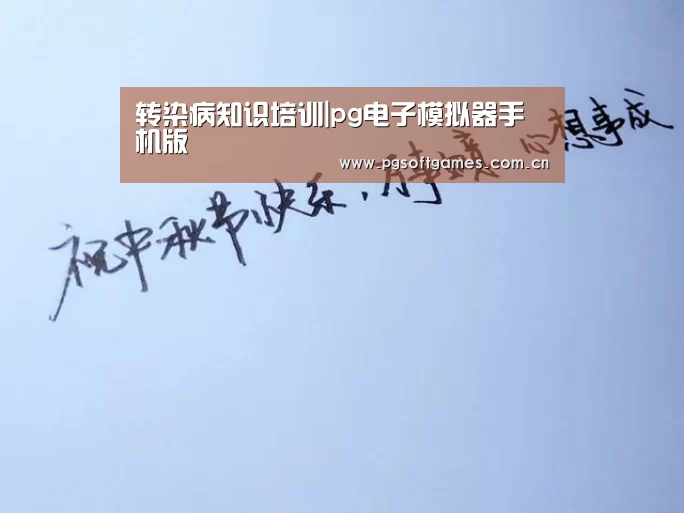 pg电子模拟器手机版