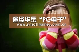 pg模拟器在线试玩
