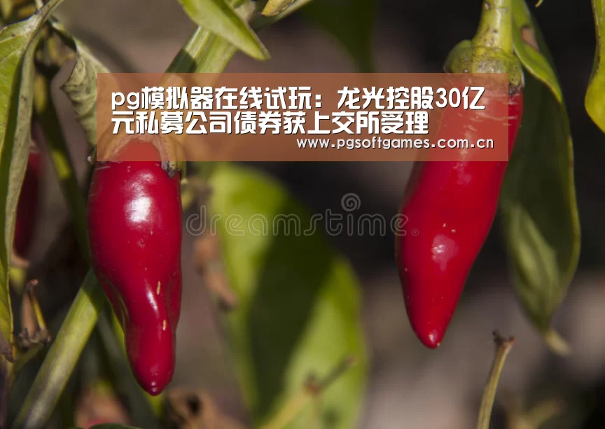 pg模拟器在线试玩:龙光控股30亿元私募公司债券获上交所受理(图1) pg模拟器在线试玩