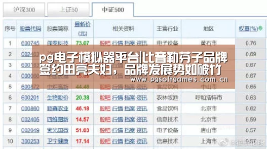 pg电子模拟器平台