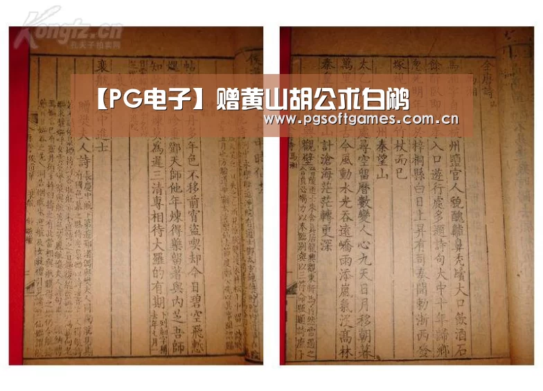 pg电子模拟器手机版