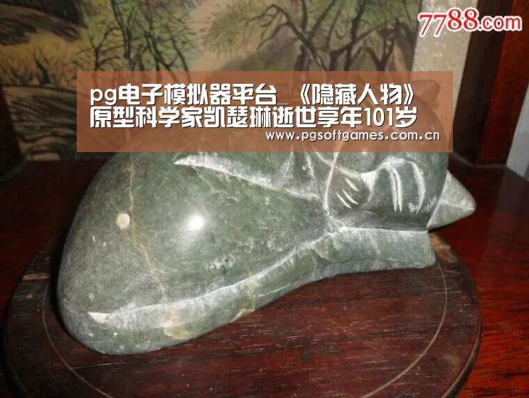 pg电子模拟器手机版