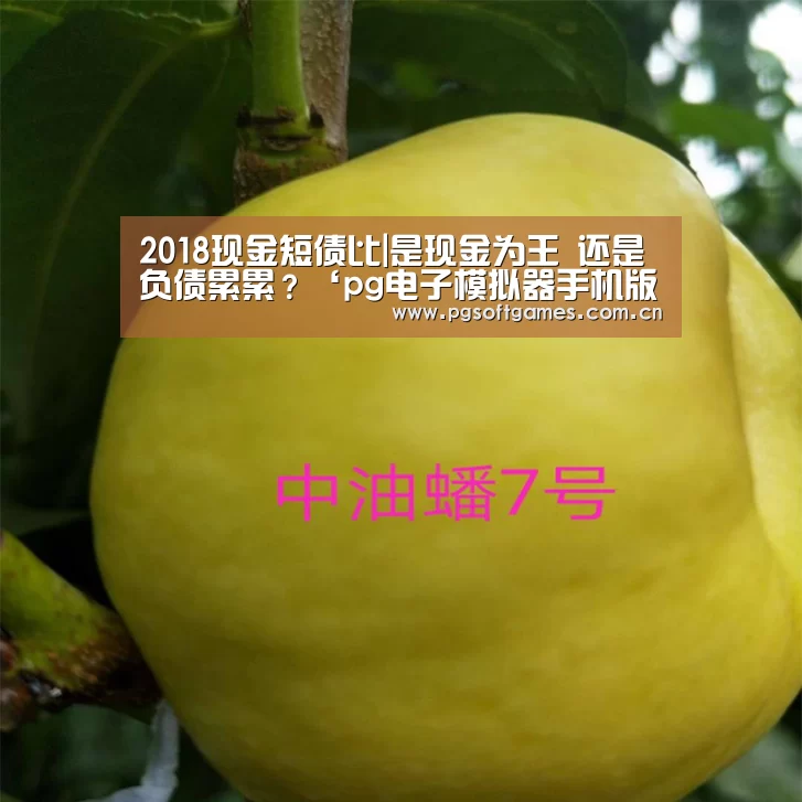 2018现金短债比|是现金为王 还是负债累累?‘pg电子模拟器手机版’(图3) pg电子模拟器平台