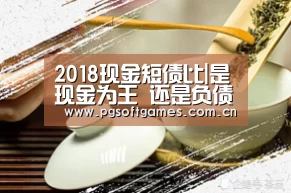 2018现金短债比|是现金为王 还是负债累累?‘pg电子模拟器手机版’(图4) pg模拟器在线试玩