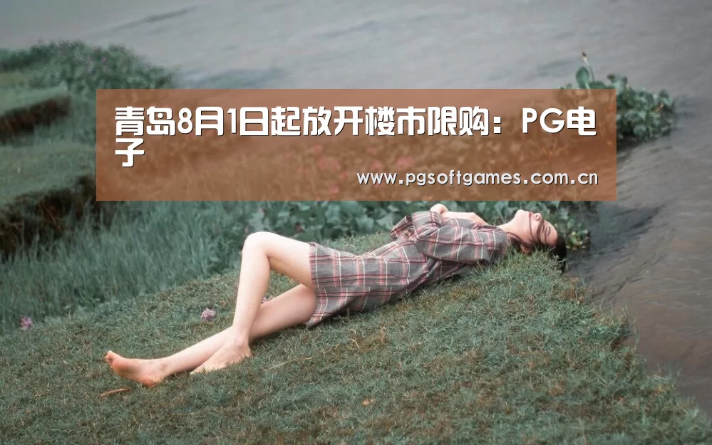 pg电子模拟器手机版