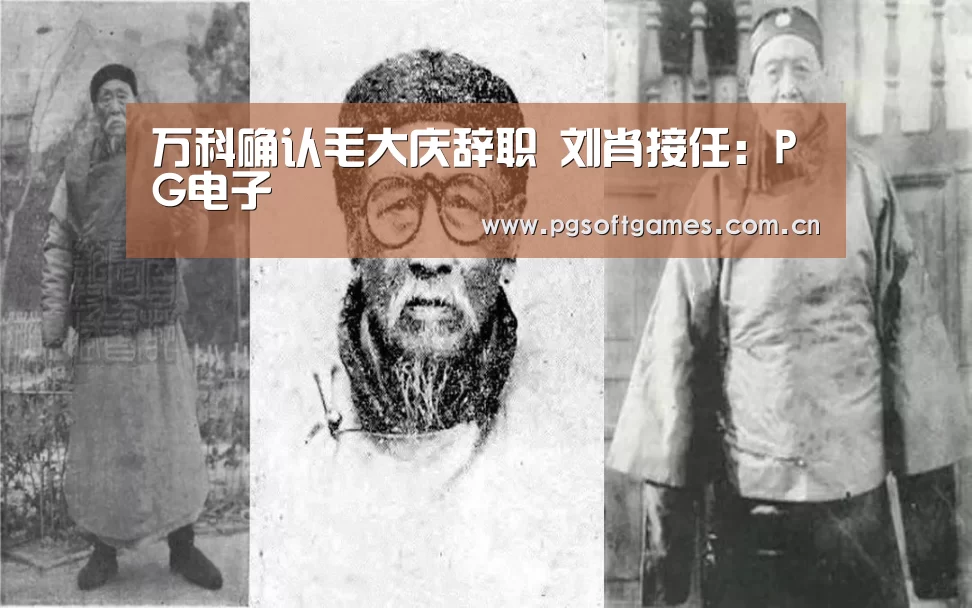 万科确认毛大庆辞职 刘肖接任:PG电子(图2) pg模拟器在线试玩