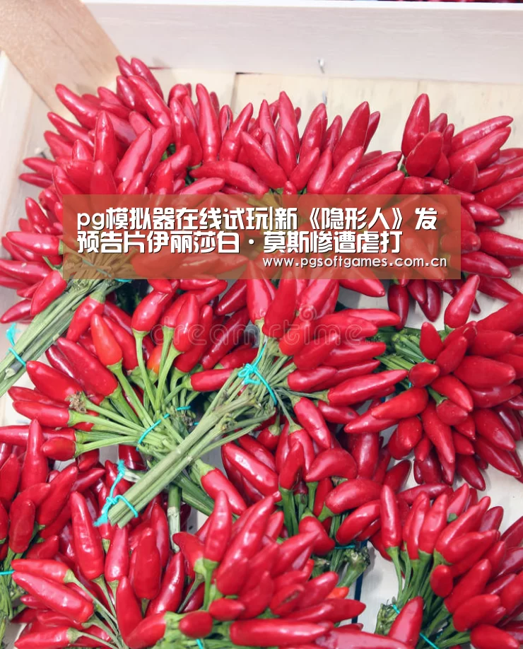 pg模拟器在线试玩|新《隐形人》发预告片伊丽莎白·莫斯惨遭虐打(图2) pg模拟器在线试玩