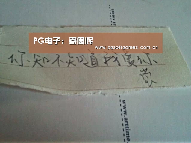 PG电子