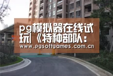 pg电子模拟器平台