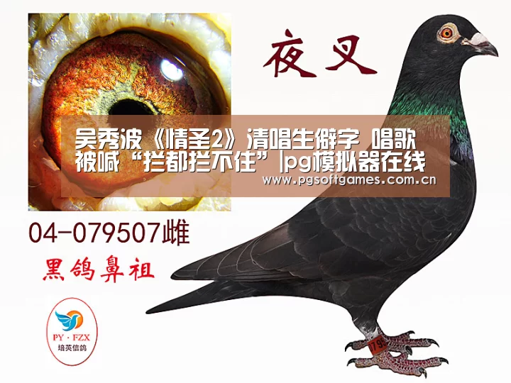pg模拟器在线试玩
